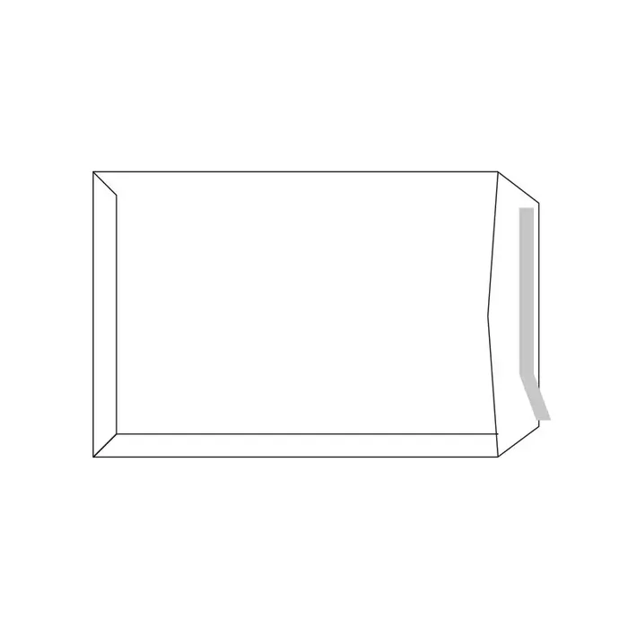 CAJA 250 BOLSAS SAM DE USO GENERAL 310x410mm 100gr Premium