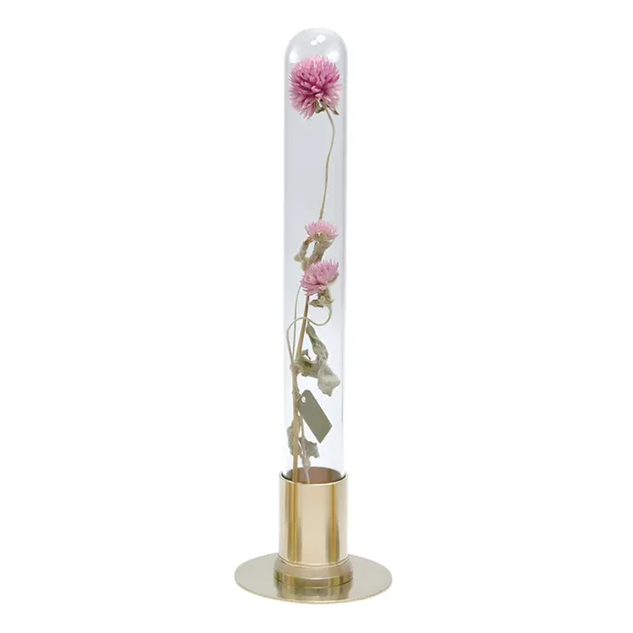 Cúpula de cristal para herbario y jarrón para flores – Latón macizo