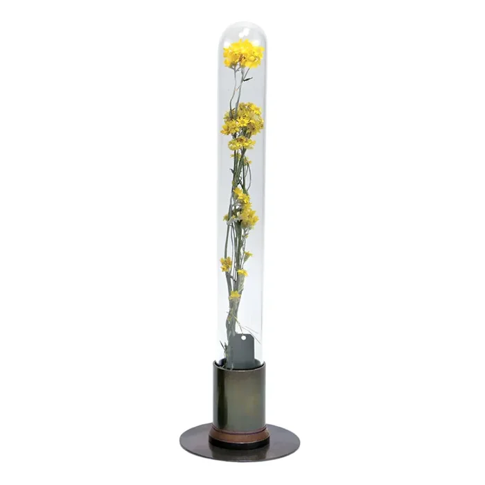 Cúpula de cristal para herbario y jarrón para flores – Latón oxidado