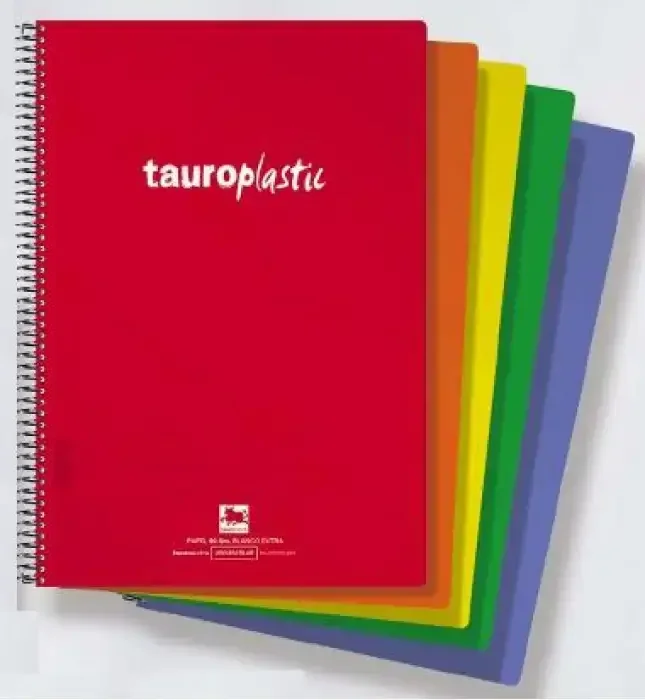 Oferta BLOC FOLIO TAUROPLASTIC 80H CUADRO 4X4 REF. 6285