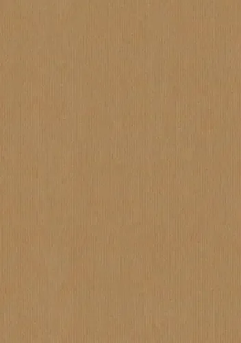 Papel de Regalo Sobre Tv 21X38+7 cm (Caja de 250) Kraft Marron Anonimo Lujoso